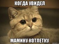 когда увидел мамину котлетку