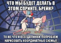 что мы будет делать в этом спринте, брейн? то же что и всегда пинки. попробуем нарисовать координатные схемы!