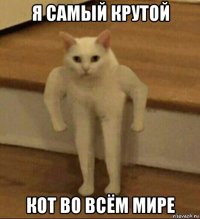 я самый крутой кот во всём мире