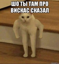 шо ты там про вискас сказал 