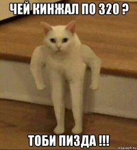 чей кинжал по 320 ? тоби пизда !!!