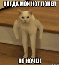 когда мой кот понел но кочёк