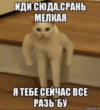 иди сюда,срань мелкая я тебе сейчас все разь*бу