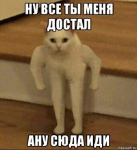 ну все ты меня достал ану сюда иди