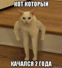 кот который качался 2 года