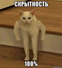 скрытность 100%