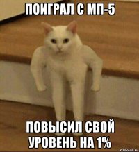 поиграл с мп-5 повысил свой уровень на 1%