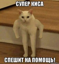 супер киса спешит на помощь!