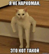 я не наркоман, это кот такой