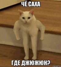 чё саха где джюжюн?