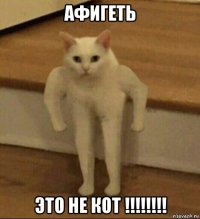 афигеть это не кот !!!!!!!!