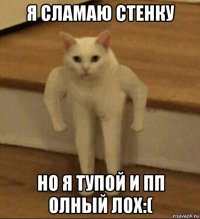 я сламаю стенку но я тупой и пп олный лох:(