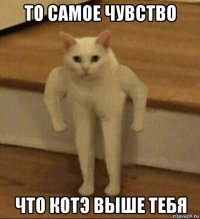 то самое чувство что котэ выше тебя