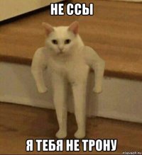 не ссы я тебя не трону