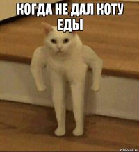 когда не дал коту еды 