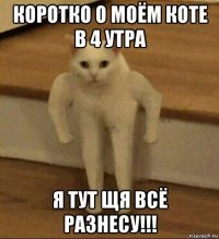 коротко о моём коте в 4 утра я тут щя всё разнесу!!!