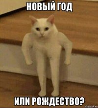 новый год или рождество?