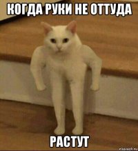 когда руки не оттуда растут