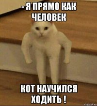 - я прямо как человек кот научился ходить !