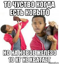 то чуство когда есть корыто но на новое железо 10 кг не хватает