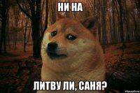 ни на литву ли, саня?