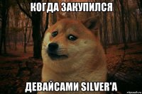 когда закупился девайсами silver'a