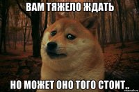 вам тяжело ждать но может оно того стоит..