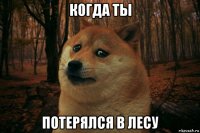 когда ты потерялся в лесу