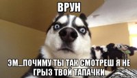 врун эм...почиму ты так смотреш я не грыз твой тапачки