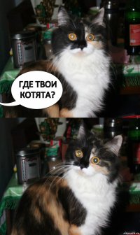 ГДЕ ТВОИ КОТЯТА?