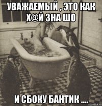 уважаемый , это как х@й зна шо и сбоку бантик ....