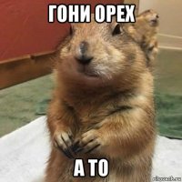 гони орех а то