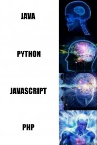 Java Python Javascript PHP