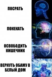 Посрать Покекать Освободить кишечник Вернуть Обаму в Белый Дом