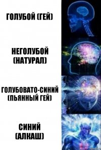 Голубой (гей) Неголубой (натурал) Голубовато-синий (пьянный гей) Синий
(Алкаш)