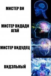 Мистер Ви Мистер Видади Агай Мистер Видудец Видэльный