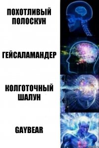 ПОХОТЛИВЫЙ ПОЛОСКУН ГЕЙСАЛАМАНДЕР КОЛГОТОЧНЫЙ ШАЛУН GAYBEAR