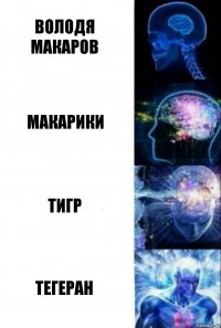 Володя Макаров Макарики Тигр Тегеран