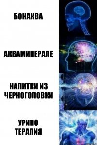 БОНАКВА АКВАМИНЕРАЛЕ НАПИТКИ ИЗ ЧЕРНОГОЛОВКИ УРИНО
ТЕРАПИЯ