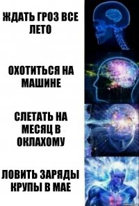 Ждать гроз все лето Охотиться на машине Слетать на месяц в Оклахому Ловить заряды крупы в мае