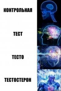 контрольная тест тесто тестостерон