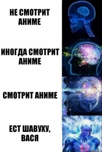 Не смотрит аниме Иногда смотрит аниме Смотрит аниме Ест шавуху, Вася