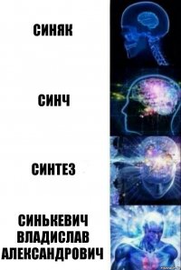 Синяк Синч Синтез Синькевич Владислав Александрович