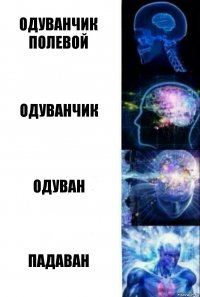 Одуванчик полевой Одуванчик Одуван Падаван