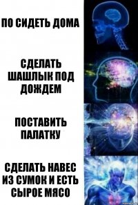 по сидеть дома сделать шашлык под дождем поставить палатку сделать навес из сумок и есть сырое мясо