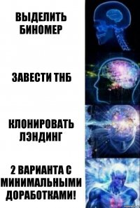 Выделить биномер Завести ТнБ Клонировать лэндинг 2 варианта с минимальными доработками!