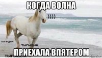 когда волна приехала впятером