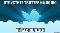 отпустите твиттер на волю он бесполезен