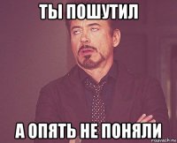 ты пошутил а опять не поняли