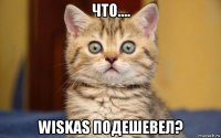 что.... wiskas подешевел?